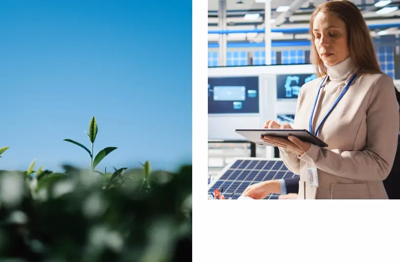 Naturaleza y tecnología unidas: brotes verdes y control energético con panel solar y baterías en grupos electrógenos