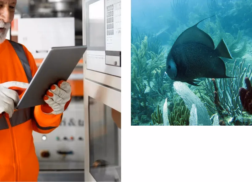 Técnico con tableta y biodiversidad marina