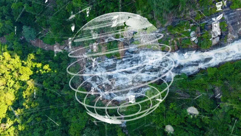 Sobreposición infográfica del planeta en un fondo natural de bosque