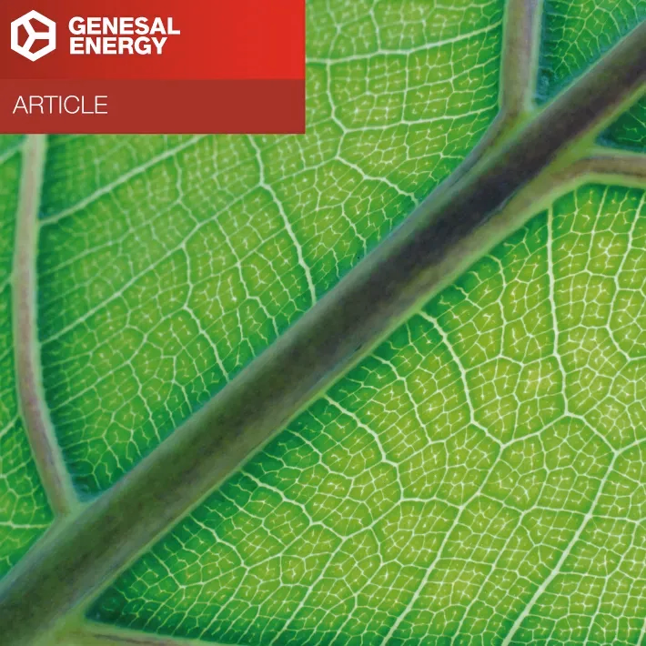 What is HVO fuel and why is it key in the energy transition?